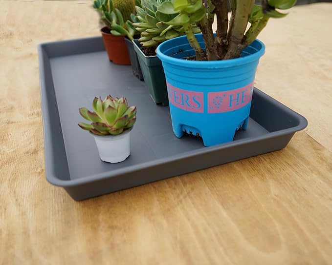 VUWEZ 2 Pack Plant Growing Nursery 1020 Trays, Plant Saucer Tray, Heavy Sturdy Seed Starting Trays, Plant Starter Trays for Indoors No Holes, Seed Starter Growing Tray (22"x11.2", Gray)