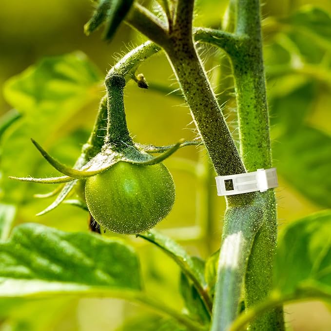 Jetec Tomato Support Clips, Plant Vegetable Support Hook Clip, Garden Support Clips, Grape Vine, Vegetables Plants Tomato Trellis Clips to Prevent Tomatoes from Pinching or Falling Off(200 Pieces)