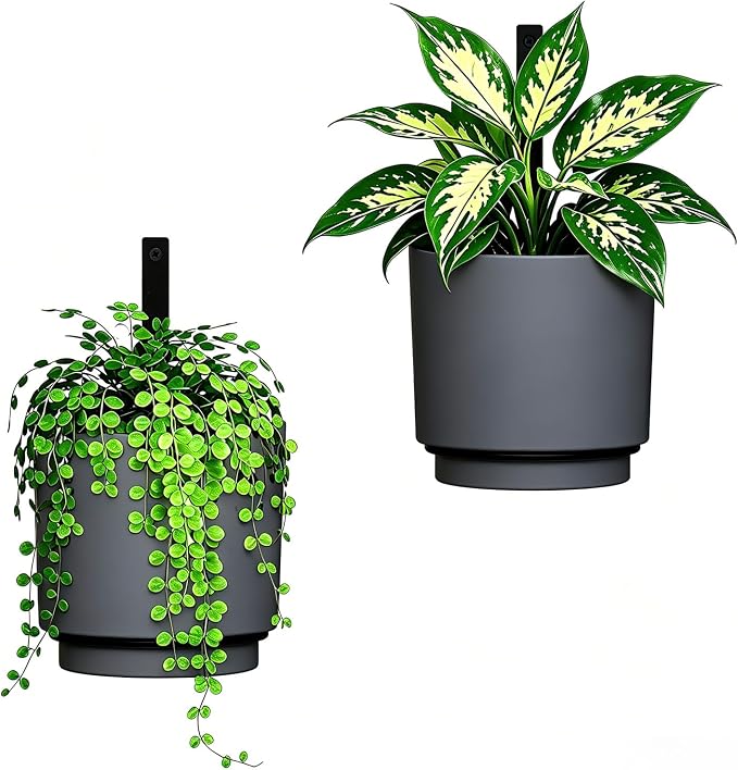 2 Pcs Wall Mounted Hanging Planter Vase for Indoor Outdoor Plants,Modern Metal Wall and Ceiling Hanging Flower Pot with Removable Flower Pot,Minimalist Decor for Herbs Succulents Flowers,5.9Inch,Grey