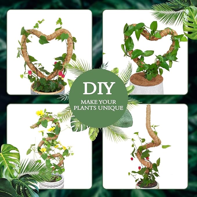2 Pack 24 Inch Coco Coir Moss Poles for Climbing Indoor Plants - Handmade Plant Support for Creepers to Grow Upwards