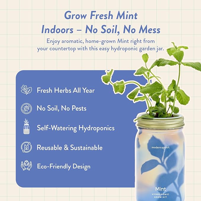 Modern Sprout Mason Garden Jar - Self-Watering Hydroponics Growing System Kit with Organic Herb Seeds - Jar Planter for Indoor Herb Garden - Seed Starter Kit - Home Decor - Gift for Mother's Day -Mint