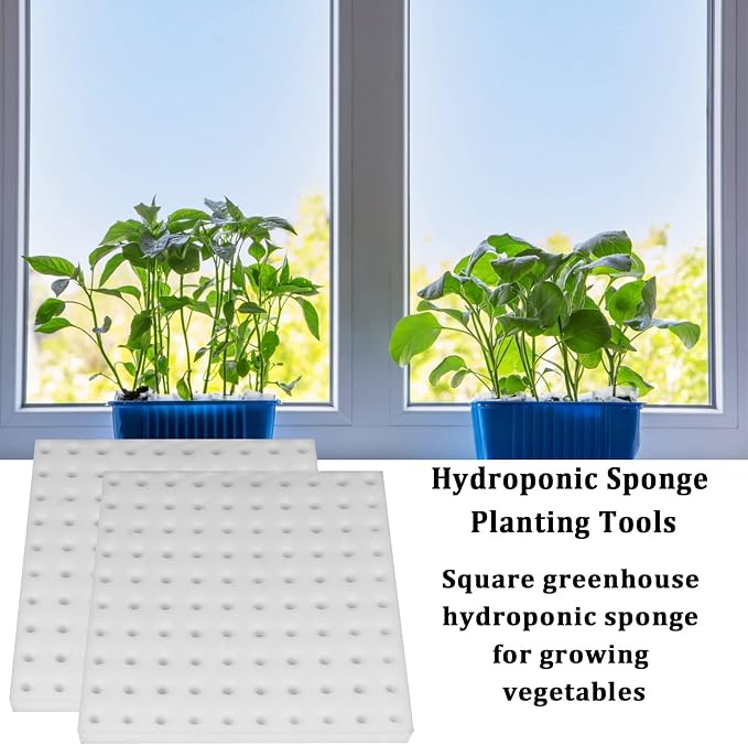 200 Pcs Hydroponic Sponges Planting Gardening Tool Soilless Cultivation Seedling Sponges Cultivation Sponge Greenhouse for Small Bud Growth & Grow Seedlings