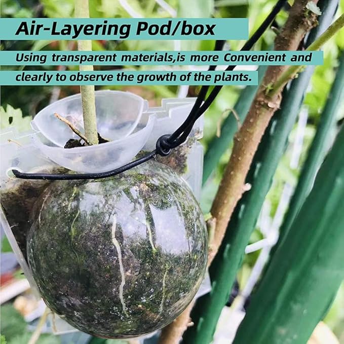Air Layering pods, Reusable Plant Rooting Device Plant Rooting Grow Box High Pressure Propagation Ball Grafting Device Botany Root Controller Garden Plant Rooter Box (2″×6PCS), Transparent