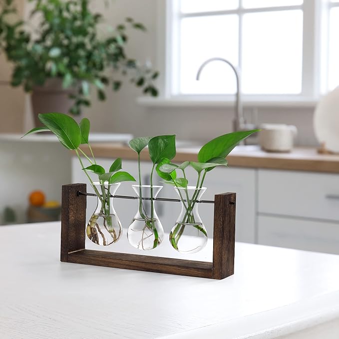 YIBOT Wall Hanging Planter Plant Propagation Stations Glass Flower Vase | Plant Terrarium with Wooden Stand,Gifts for Plant Lovers,Bathroom, Home Office Living Room Decor
