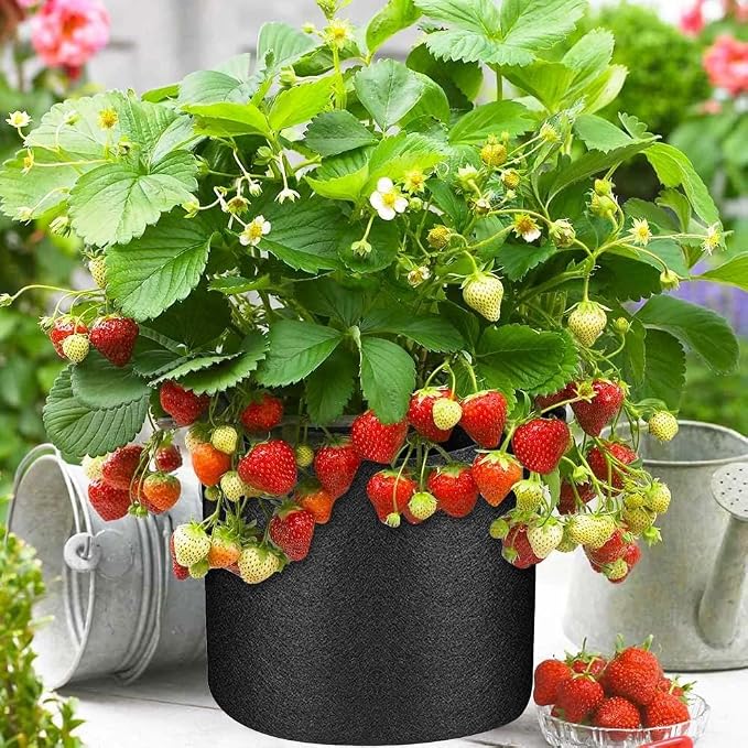 50 Pack Grow Bags Bulk Fabric Pots with Handles Aeration Grow Pots Garden Plant Bags for Gardening, Plant and Vegetables, Black (5 Gallon)