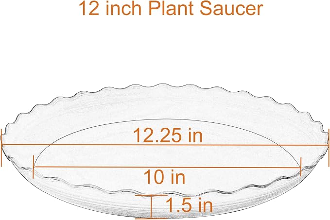2 Pack of 12 inch Plant Saucer Plant Tray, Plastic Plant Saucer, Heavy Duty Plant Tray for Pots, Plant Saucers for Indoors Planter, Garden Water Plate Bowls for Gallon Grow Bags (Black)