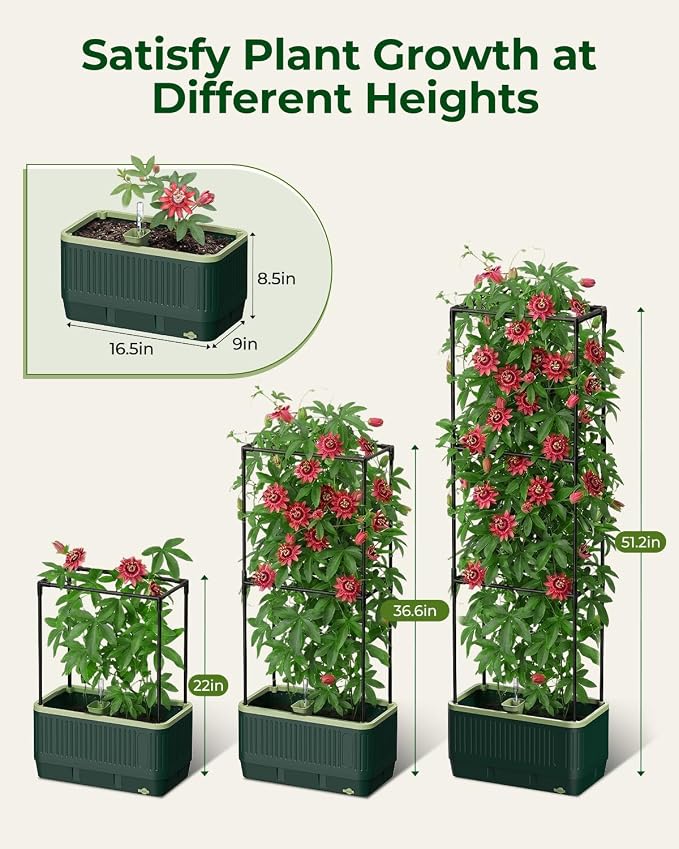 Raised Garden Bed Planter Box with Trellis, Self Watering Tomato Planters for Climbing Plants, Tomato Cage Trellis for Vegetables & Vine Flowers Indoor Outdoor Patio