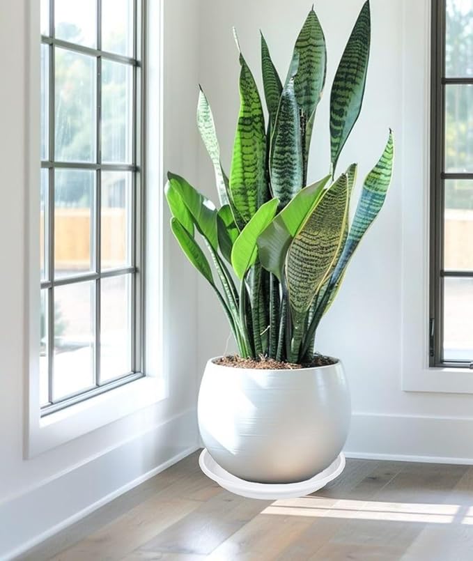 2 Pack of 22 inch Plant Saucer, Large Plant Tray, Heavy Sturdy Plant Drainage Tray for Indoors, Bird Bath Bowls, Sturdy 18 inch Plastic Pot Tray for Planter 19 20 21"(White)