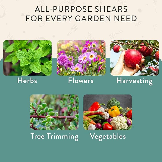 Modern Sprout Pruning Shears - Herb Snipping Scissors- Lightweight Gardening Tools W/Easy Lock - Flower Cutter Garden Shears - Gift for Father's Day - Carbon Steel Blade+Reusable Holster(Ocean,1-Pack)