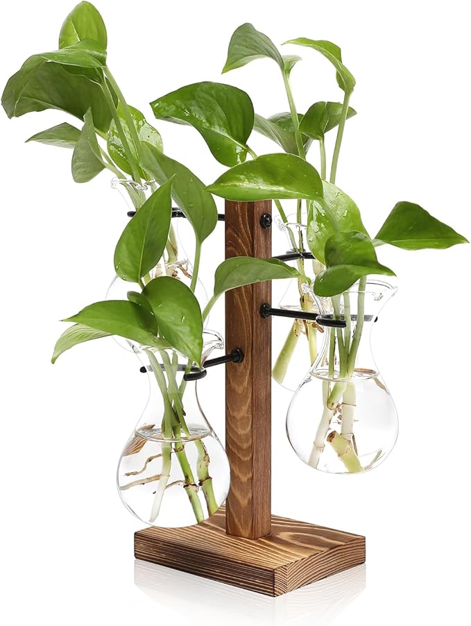 Plants Propagation Stations Bulb Glass Propagation Birthday Gift for Women Garden Plant Lovers - 4 Bulb