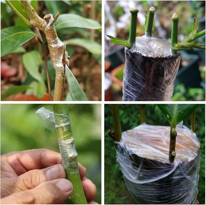 RRJ Grafting Tape for Fruit Trees, Floral Tape Grafting Tools Plant Garden Plant Nursery Tapes PE Stretchable Resilient Self Adhesive Membrane Clear Floristry Film Budding Tapes (5)