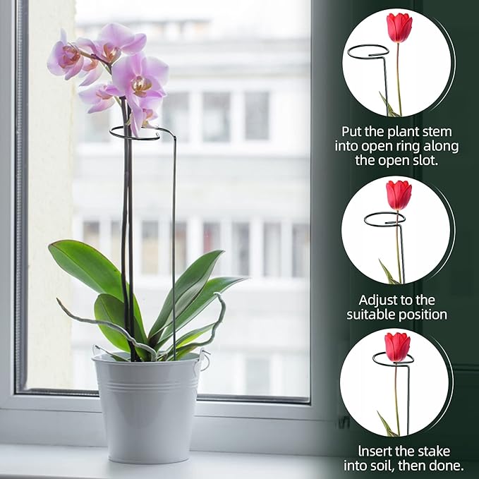 Green Metal Plant Support Stakes with Rings (Pack of 8) and 10 Plant Clips - Garden Single Stem Support Rod Set for Amaryllis, Rose, Tomato Seedling, Sapling