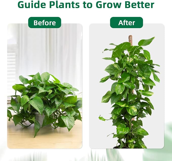 Mcbazel 63 Inch Moss Pole for Plants Monstera, Monstera Plant Support Stick, Bendable Moss Poles Plant Support Stick for Climbing Plants, Stick Support Stake Kit for Potted Plants, Pothos,Philodendron