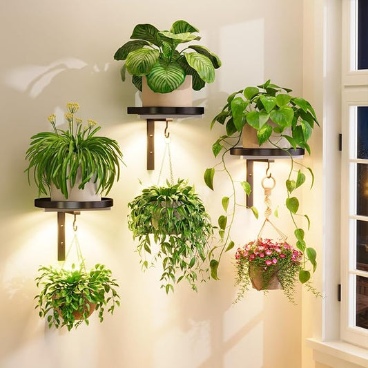 iDavosic.ly Wall Plant Holder with Grow Lights Set of 3 for Indoor Outdoor, Metal Hanger with 2 Hooks, Floating Flower Display Stand for Window, Space Saving & Easy to Assemble (Pots Not Included)
