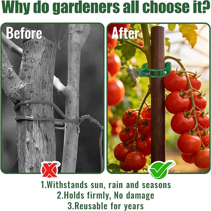 300 Pcs Tomato Clips for Climbing Plants & Garden Clips | All-Season Durable Reusable Plant Supports for Cucumbers, Grapes and Vegetables (Green)
