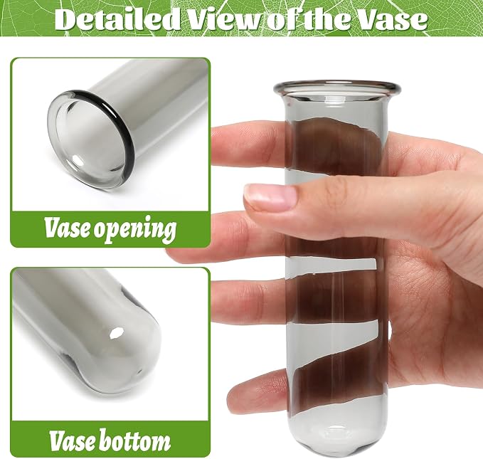 Glass Plant Propagation Station with 5 Test Tubes Colorful Planter Vase Birthday Gifts for Women in Wooden Stand