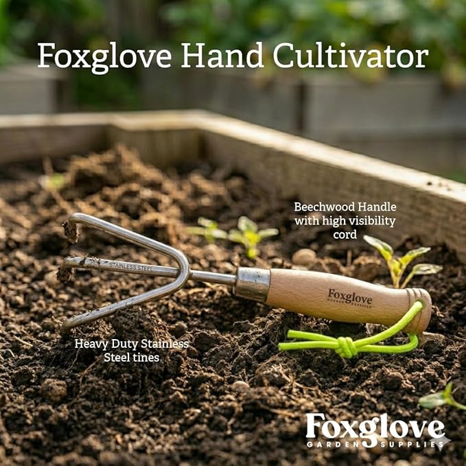 Foxglove Premium Stainless Steel Hand Cultivator - Heavy Duty Garden Tool with Beechwood Handle - Durable Metal Garden Rake, Weeder & Digging Fork - Essential Hand Tiller for Soil & Garden Care