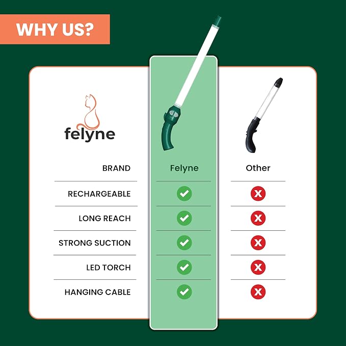 Rechargeable Bug & Spider Catcher Vacuum, Strong Suction, Long Reach, Handheld Insect Trap for Indoor & Garden, for Kids & Adults by Felyne