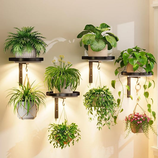 iDavosic.ly Wall Plant Holder with Grow Lights Set of 4 for Indoor Outdoor, Metal Hanger with 2 Hooks, Floating Flower Display Stand for Window, Space Saving & Easy to Assemble (Pots Not Included)
