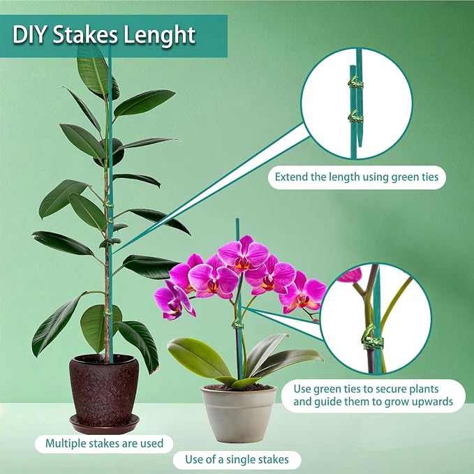 HAINANSTRY Bamboo Plant Stakes 50PCS, 18Inch Natural Bamboo Garden Stakes, Supports Indoor & Outdoor Plants, Straight Style, Green