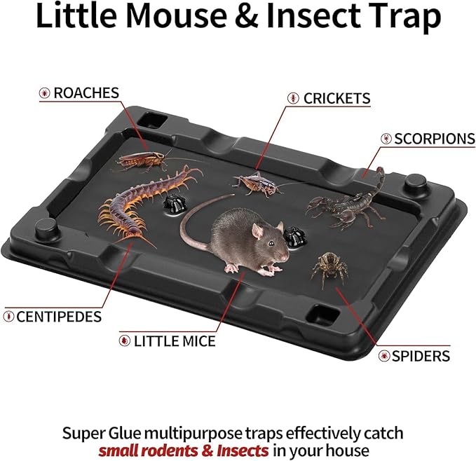 LULUCATCH Mouse & Insect Traps 24 Pack, Heavier Sticky Traps with Non-Toxic Glue for Small Mice & Insects. Sticky Mouse Traps Indoor for Home, Easy to Set