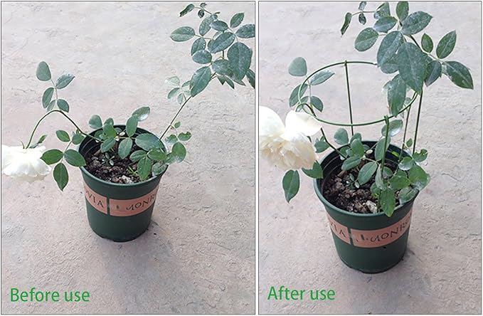 (Pack of 3) Garden Plant Support Rings, 5.5" Wide x 11" High, 3 Legs
