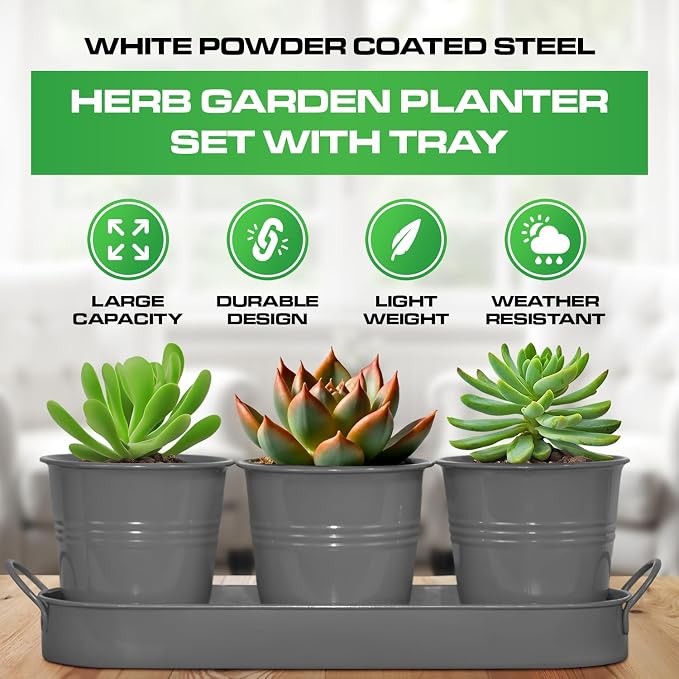 Plexon Herb Planter Indoor Garden Set of 3 with Tray, Metal Herb Pots for Indoor Plants, Round Kitchen Garden Kit Ideal for Windowsill Planter or Countertop, Gray Powder Coated