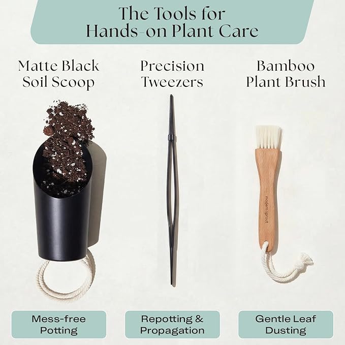 Rosy Soil Plant Parent Essentials Gift Box - Indoor Plant Kit & Gardening Tool Kit | Peat-Free Houseplant Soil, Terracotta Watering Bulb, Soil Scoop, Plant Brush - Gift for Father's Day, Plant Lovers
