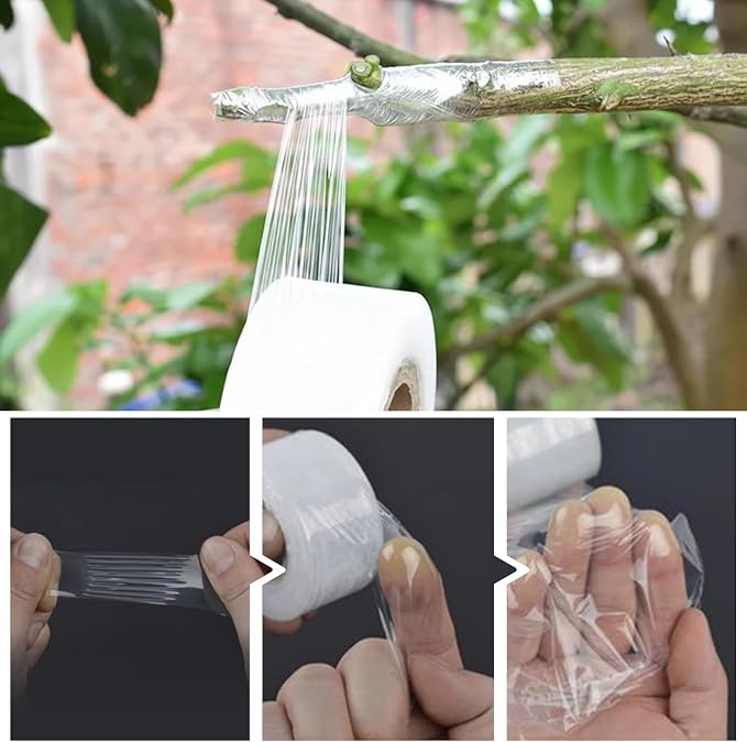 Grafting Tape 3 Pack – Stretchable Self-Adhesive Plant Grafting Film, Budding & Nursery Repair Tape for Fruit Trees, Floral Plants, Garden Stem Fix & Plant Support (Clear)