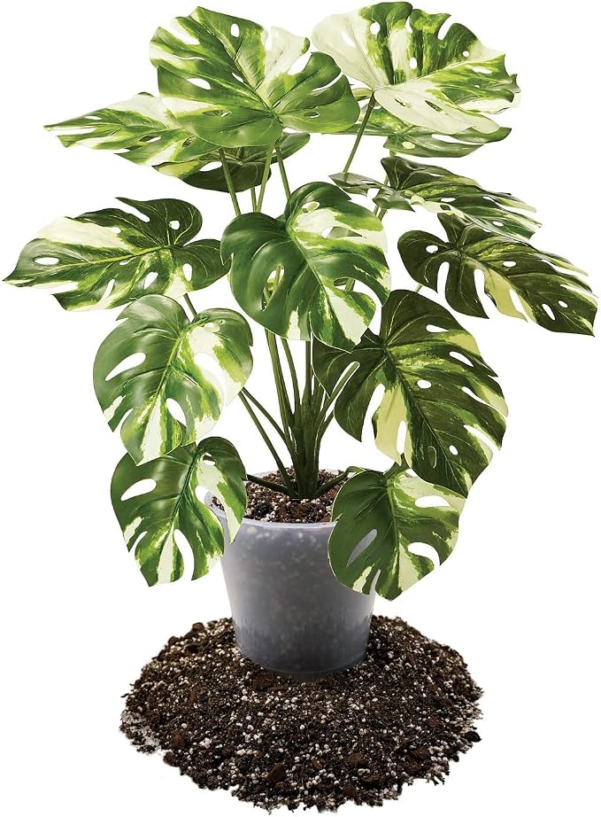 Premium Aroid Potting Mix - 20 Quart - Soil Free Blend for Aroids - Growing Medium for House Plants by Gardenera - (4 Bags of 5 Quart)