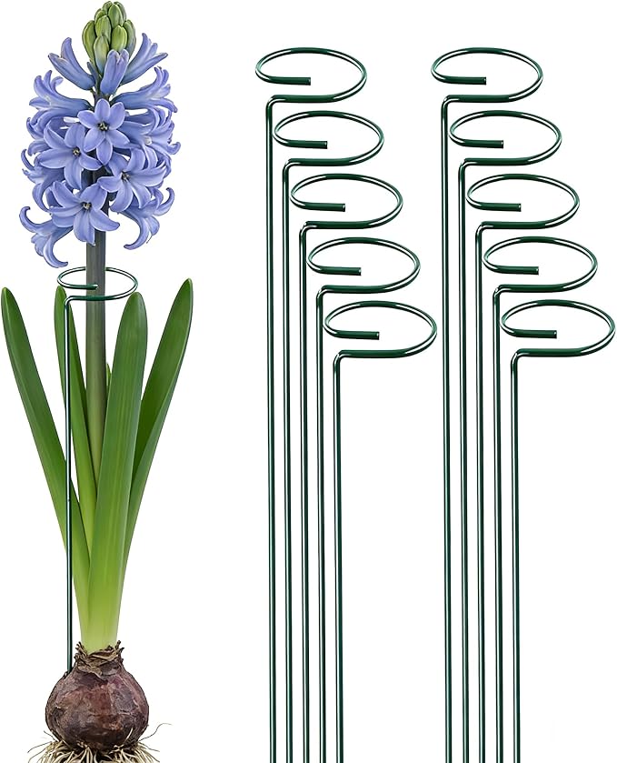 10 Pieces 16 inch Green Single Stem Plant Stakes Garden Plant Support Rings Flower Support Hoops Prop for Amaryllis Orchid Lily Rose Peony