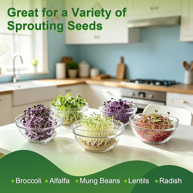 2 Pack DnerLery Sprouting Lids for Wide Mouth Mason Jars, Stainless Steel Fine Mesh Lids Only, Fit Mason Jars for Broccoli, Alfalfa, Mung Bean & Microgreens, No Jars, Germination Kits