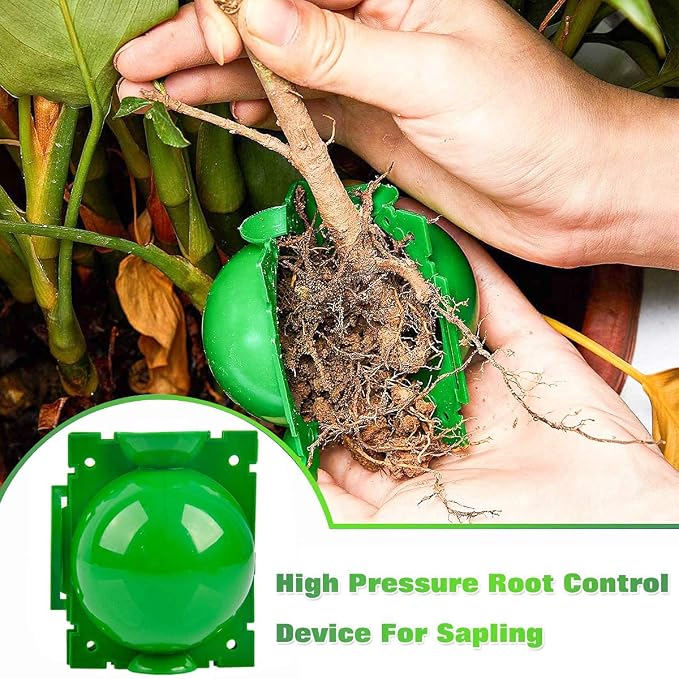 Air layering pods, Reusable Plant Rooting Device Plant Rooting Grow Box High Pressure Propagation Ball Grafting Device Botany Root Controller Garden Plant Rooter Box (Medium(3.1″×6PCS),Green)