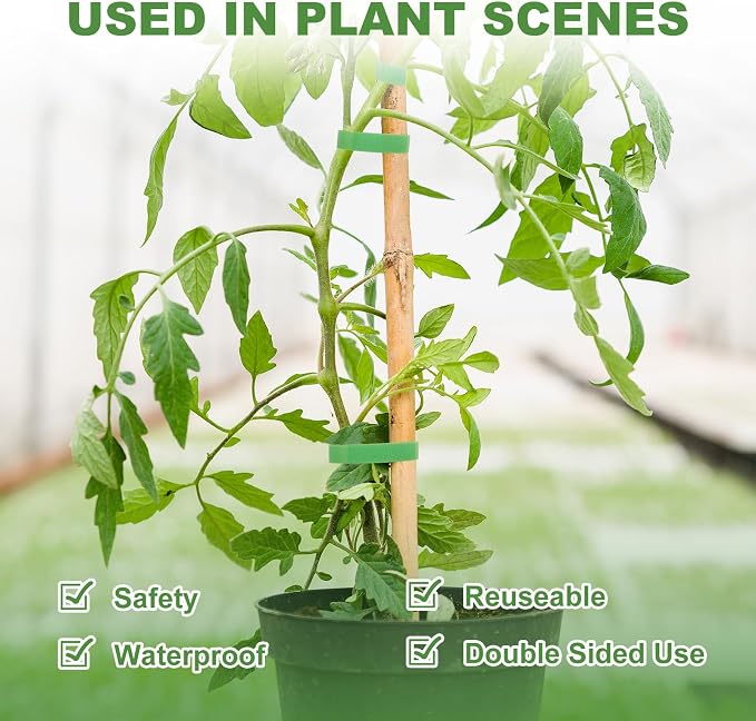 5 Rolls 165 Ft Green Plant Tape for Climbing Plants, 1/2 Inch Reusable Plant Stretch Ties, Adjustable Tomato Plant Supports, Plant Twist Ties for Gardening, Home, Office