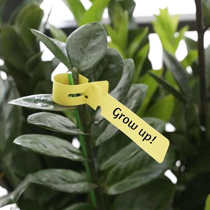 KINGLAKE 200 Pcs Plastic Plant Tree Tags Nursery Garden Lables 2x20cm Wrap Around Hanging Tags Nursery Garden Stakes Large Writing Surface Multicolord