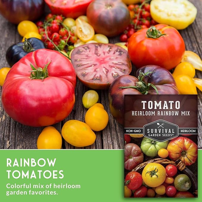 Heirloom Rainbow Mix Tomato Seeds for Planting - Colorful Heirloom Varieties Seed Blend, High Yield Garden Tomatoes, Non-GMO Open Pollinated - Survival Garden Seeds (3 Pack)