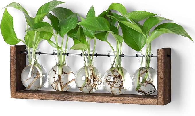 YIBOT Wall Hanging Glass Planter Plant Propagation Vase-5 Bulb Glass Vases | Plant Terrarium with Wooden Stand,Indoor Home Office Living Room Decor Gifts