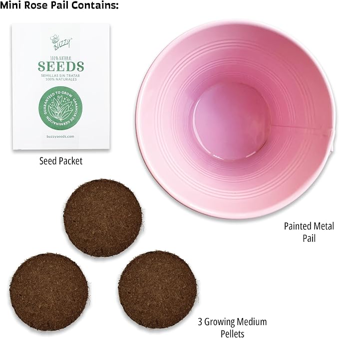 Buzzy Seeds Love Pails Grow Kit 2-Pack - Metal Windowsill Planter - Complete Indoor Gardening Kit with Seeds, Coconut Husk Growing Medium & Genuine Pots - 100% Grow Guarantee