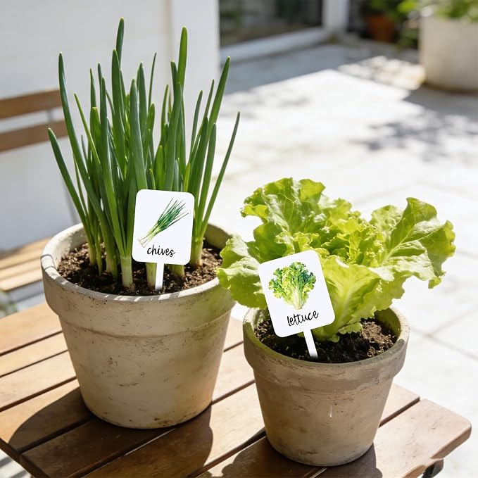Whaline 20Pcs Acrylic Vegetable Fruit Plant Label Signs Garden Markers 20 Styles Watercolor Vegetable Fruit Waterproof Potted Plant Stake Tags with Names for Nursery Indoor Outdoor Garden Decor