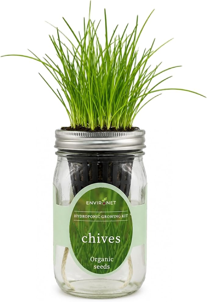 Hydroponic Herb Growing Kit, Self-Watering Mason Jar Herb Garden Starter Kit Indoor, Grow Your Own Herbs from Organic Seeds (Chives)