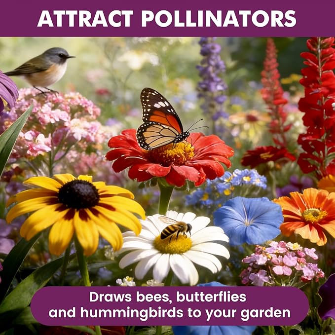Wildflower Seeds Bulk 10000+, 1.06oz Butterfly Hummingbird Mix, 21 Variety Perennial Annual Mix, Heirloom Flower Seeds for Planting Outdoor Indoor, High Germination Rate Garden Seeds
