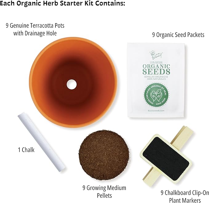 Buzzy Seeds Apothecary Garden Wellness Kit - Mini Terracotta Pot Grow Set - Complete Indoor/Outdoor Gardening Kit with Seeds, Coconut Husk Growing Medium & Genuine Pots - 100% Grow Guarantee