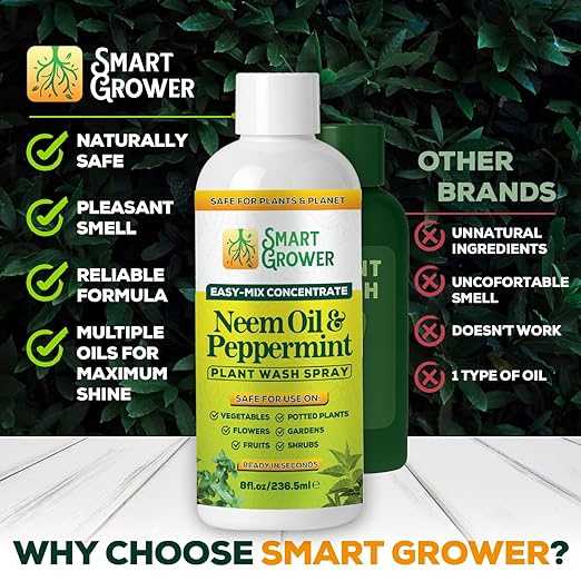 Neem Oil Spray for Plants with Peppermint Oil – for Indoor & Outdoor Plants, Gardens, & Houseplants– Best Value Refill 8 oz Concentrate Makes 1 Gallon RTU