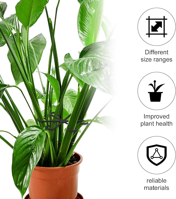 XIHIRCD 4pcs Plant Stem Support, Climbing Houseplant Leaf Support Ring Plant Climbers Stem Holders Plants Climbing Rack Plant Flower Gardening Growth Cultivation Accessories Tools(Black)