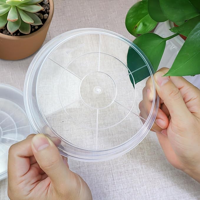 FUIJOL 6 Pack Clear Plant Saucer 4 Inch, Durable Plant Drip Trays Saucers for Pots, No Holes Water Catcher Trays for Indoor Outdoor Planter, Sturdy Base Plate(4", Clear)