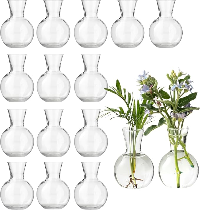 Plastic Propagation Vases (16 Bulbs),Desktop Plant Terrarium for Indoor Plants - Hydroponics Containers for Home Office Desk Decor, mini Gardening Gifts for Women Who Love Plants (16PCS)