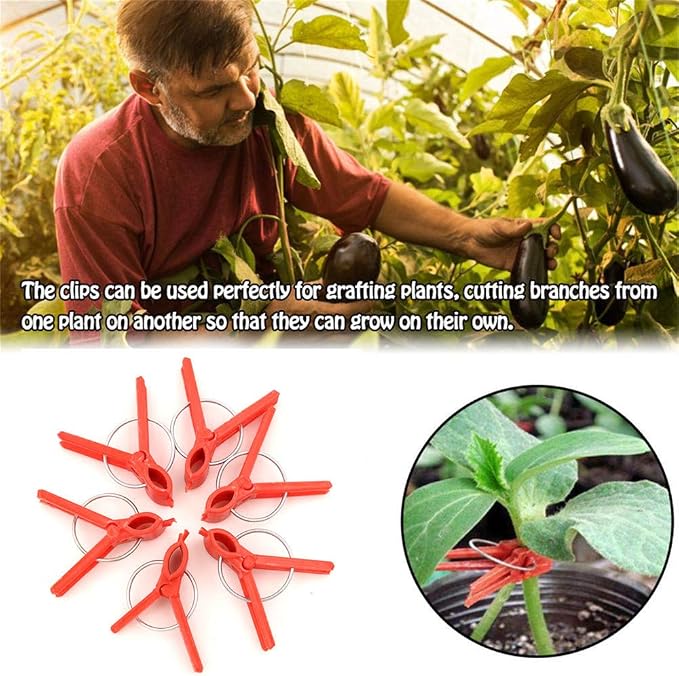 Suxgumoe Plants Graft Clips, 100PCS Plastic Round Mouth Grafting Clips Gardening Tool for Cucumber Eggplant Tomato Watermelon