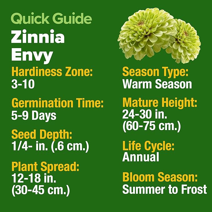 HOME GROWN Envy Zinnia Seeds (1g) – 1000 Rare Lime Green Annual Zinnia Flower Seeds for Planting, Fast-Growing Heat-Loving Variety, Premium Herb Seeds Garden Companion for 2026 Blooms (Zinnia elegans)