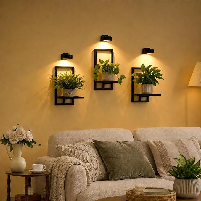 Wall Plant Holder with Grow Lights Set of 2 for Indoor Outdoor, Floating Flower Display Stand for Living Room, Bedroom, Bathroom, Kitchen, Entryway, White (3, Black)