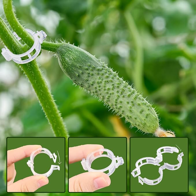 Anyumocz 400 Pcs Plant Support Clips, Snap-On Trellis Clips for Climbing Plants, Tomato & Grape Vine Support, 1" Inner Diameter Plastic Garden Clips to Grow Upright (White)